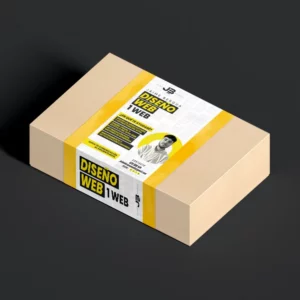 DISEÑO 1 WEB